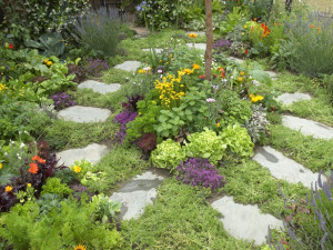 magical-herb-garden
